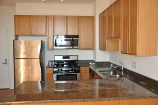 1464 S Michigan Ave, Chicago, IL 60605 - Photo 2