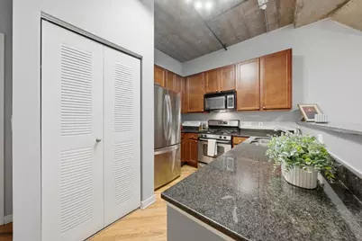 1111 W 14th Place #216, Chicago, IL 60608 - Photo 10
