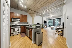 1111 W 14th Pl, Chicago, IL 60608 - Photo 8