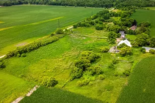 9836 E Maize Rd, Ridott, IL 61067 - Photo 42