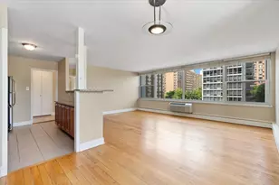 336 W Wellington Ave, Chicago, IL 60657 - Photo 8