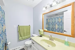 158 Tammy Ln, Lake Holiday, IL 60552 - Photo 14