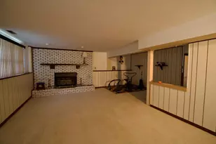 3914 Raycraft Rd, Woodstock, IL 60098 - Photo 20