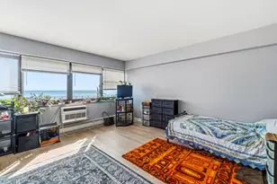7337 S South Shore Dr, Chicago, IL 60649 - Photo 2