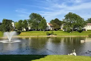 115 E Fabish Dr, Buffalo Grove, IL 60089 - Photo 22