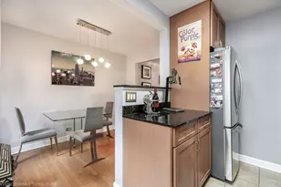 1011 S Oak Park Ave, Oak Park, IL 60304 - Photo 12