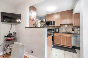 1011 S Oak Park Ave, Oak Park, IL 60304 - Photo 8