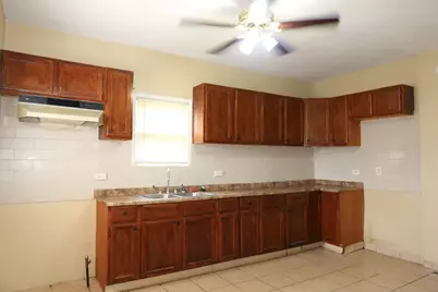 13223 S Buffalo Avenue, Chicago, IL 60633 - Photo 2