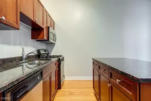 2 S Leavitt St, Chicago, IL 60612 - Photo 10