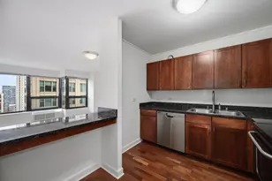 30 E Huron St, Chicago, IL 60611 - Photo 8
