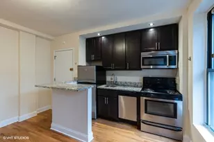 1430 N Dearborn Pkwy, Chicago, IL 60610 - Photo 8