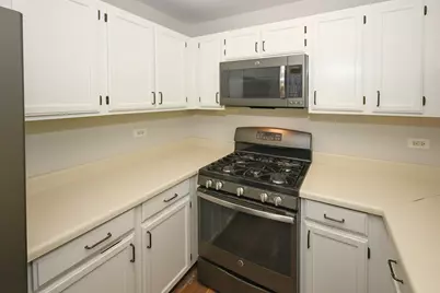 230 University Lane, Elk Grove Village, IL 60007 - Photo 10