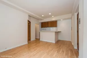 1504 N Dearborn Pkwy, Chicago, IL 60610 - Photo 4