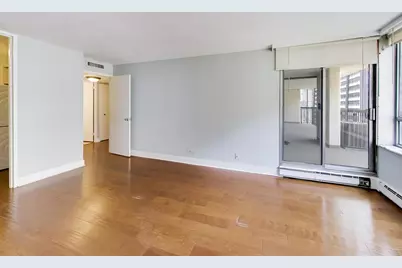 201 E Chestnut Street #14A, Chicago, IL 60611 - Photo 12