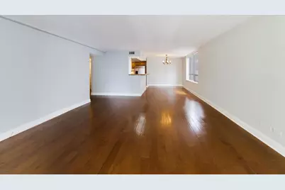 201 E Chestnut Street #14A, Chicago, IL 60611 - Photo 4