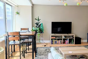 211 E Ohio St, Chicago, IL 60611 - Photo 6