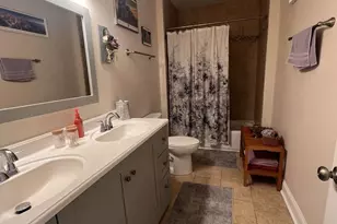 929 S Bell Ave, Chicago, IL 60612 - Photo 12