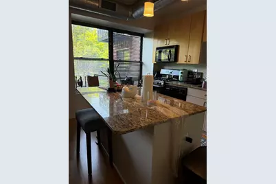 4537 S Drexel Boulevard #203, Chicago, IL 60653 - Photo 2