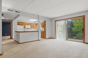 10 S Wille St, Mount Prospect, IL 60056 - Photo 14