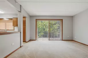 10 S Wille St, Mount Prospect, IL 60056 - Photo 16