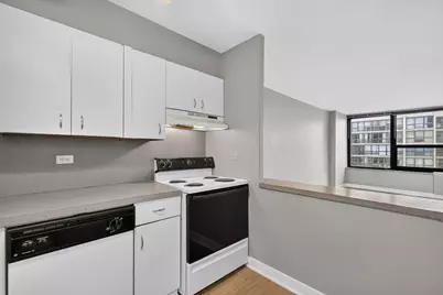 1560 N Sandburg Terrace #1905J, Chicago, IL 60610 - Photo 10