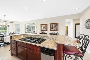 21359 Saddle Ln, Mokena, IL 60448 - Photo 12