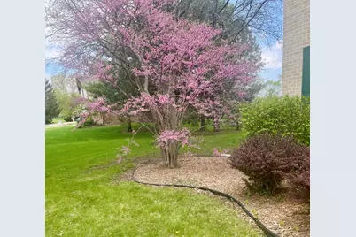 8S765 Singletree Lane, Naperville, IL 60565 - Photo 32