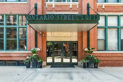 411 W Ontario Street #407, Chicago, IL 60654 - Photo 1