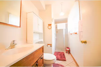 2433 S Shag Bark Trail, Arlington Heights, IL 60005 - Photo 14