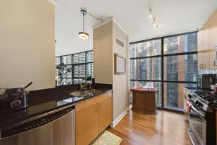 201 N Westshore Dr, Chicago, IL 60601 - Photo 10