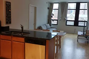 1255 S State St, Chicago, IL 60605 - Photo 2