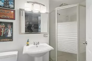 117 S Evergreen Ave, Addison, IL 60101 - Photo 18