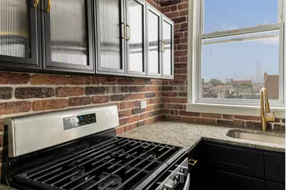 238 W 31st Street #4W, Chicago, IL 60616 - Photo 6