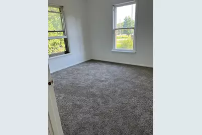 107 W Palmer Street, Thawville, IL 60968 - Photo 10