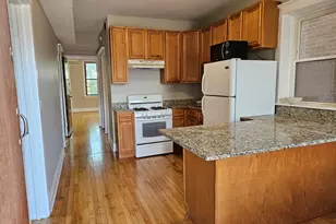1849 W 17th St, Chicago, IL 60608 - Photo 2