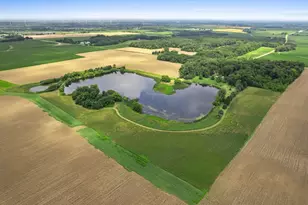 3435 Howlett Rd, Paw Paw, IL 61353 - Photo 4