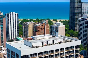 88 W Schiller St, Chicago, IL 60610 - Photo 22