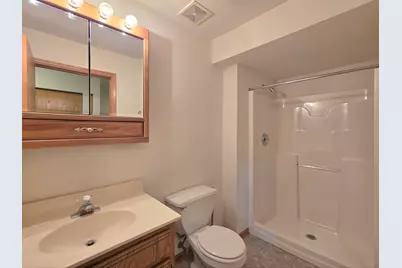 473 Kingston Drive, New Lenox, IL 60451 - Photo 18