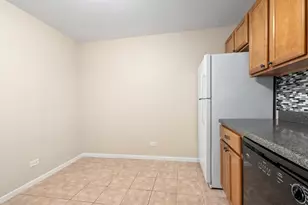 5980 Lake Bluff Dr, Tinley Park, IL 60477 - Photo 16