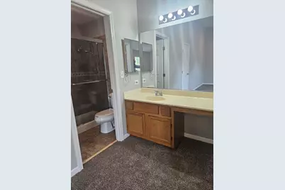 10 King Drive, Streamwood, IL 60107 - Photo 18