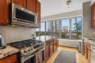 1717 S Prairie Ave, Chicago, IL 60616 - Photo 10