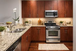 757 N Orleans St, Chicago, IL 60654 - Photo 4