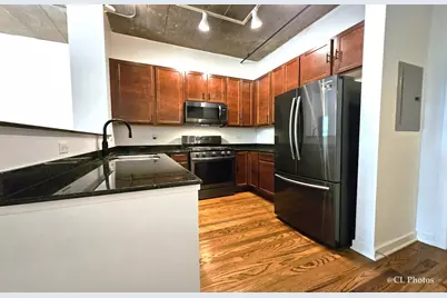 1111 W 15th Street #218, Chicago, IL 60608 - Photo 6