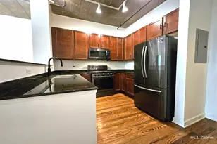 1111 W 15th St, Chicago, IL 60608 - Photo 6