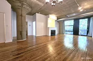 1111 W 15th St, Chicago, IL 60608 - Photo 4
