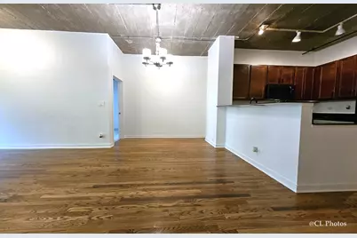 1111 W 15th Street #218, Chicago, IL 60608 - Photo 8