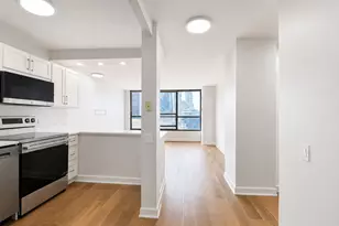 405 N Wabash Ave, Chicago, IL 60611 - Photo 6