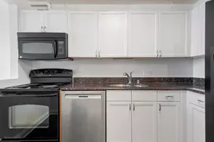 474 N Lake Shore Dr, Chicago, IL 60611 - Photo 10