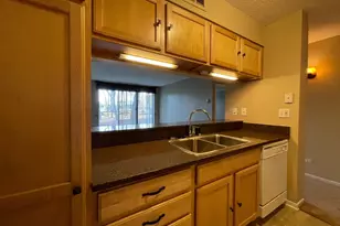 509 Aurora Ave, Naperville, IL 60540 - Photo 8