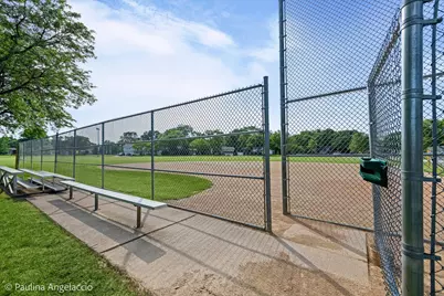 1040 E Carpenter Drive, Palatine, IL 60074 - Photo 30